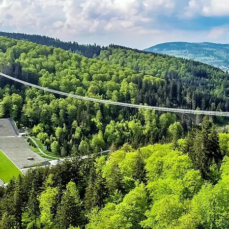 Stilleben 'michelangelo' - Direkt Im Skigebiet Am Ritzhagen 公寓 *